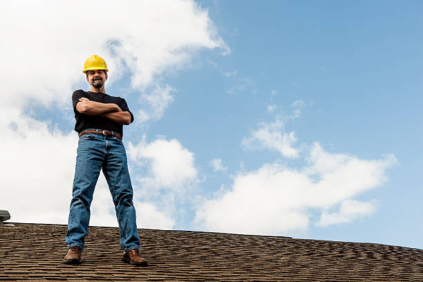 Best Roof Maintenance Services  in Wood Dale, IL