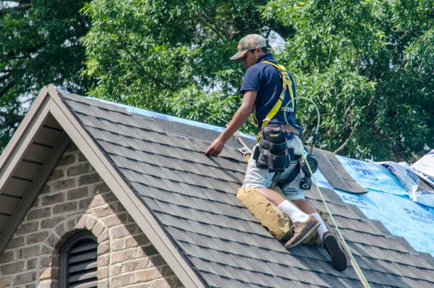 Best New Roof Installation  in Wood Dale, IL